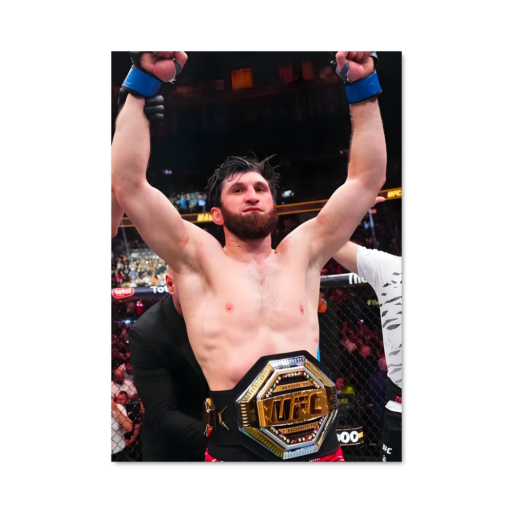 Poster Le Champion Charismatique